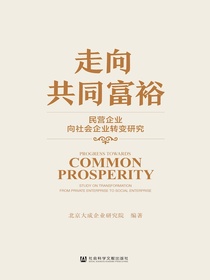 走向共同富裕：民营企业向社会企业转变研究