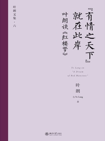 “有情之天下”就在此岸：叶朗谈红楼梦