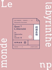 何谓永恒：世界迷宫III（世界迷宫三部曲）