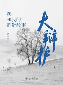 大辩护：我和我的刑辩故事