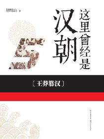 这里曾经是汉朝5：王莽篡汉