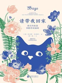 请带我回家
