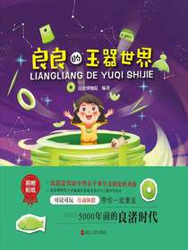 良良的玉器世界（良良的世界系列）