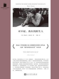 对不起，我在找陌生人（短经典精选）
