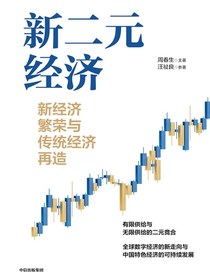 新二元经济：新经济繁荣与传统经济再造