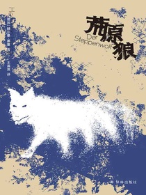 荒原狼（黑塞精选集）
