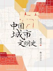 中国城市文明史