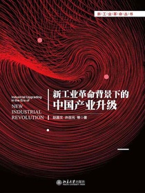 新工业革命背景下的中国产业升级