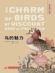 鸟的魅力：博物图鉴版