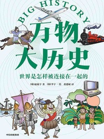 万物大历史：世界是怎样被连接在一起的