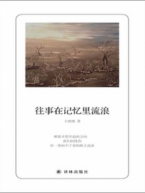 往事在记忆里流浪