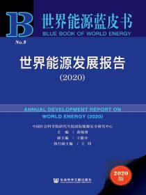 世界能源发展报告（2020）（世界能源蓝皮书）