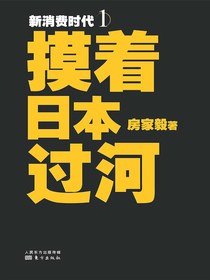 新消费时代1：摸着日本过河