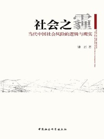 社会之霾：当代中国社会风险的逻辑与现实