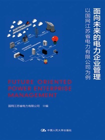 面向未来的电力企业管理：以国网江苏省电力有限公司为例