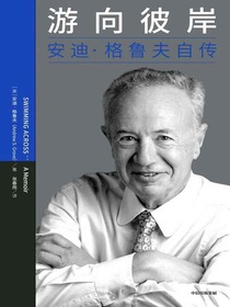 游向彼岸：安迪·格鲁夫自传