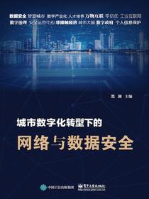 城市数字化转型下的网络与数据安全