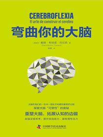 弯曲你的大脑