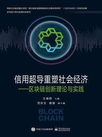 信用超导重塑社会经济：区块链创新理论与实践