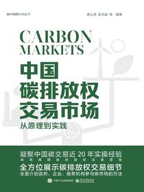 中国碳排放权交易市场：从原理到实践