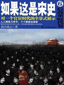 如果这是宋史6：后改革时代卷