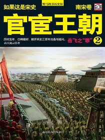 如果这是宋史9：官宦王朝（南宋卷岳飞之“罪”）