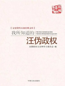 我所知道的汪伪政权（史资料百部经典文库）