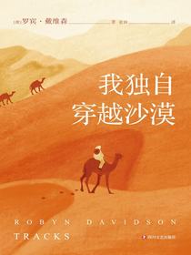 我独自穿越沙漠