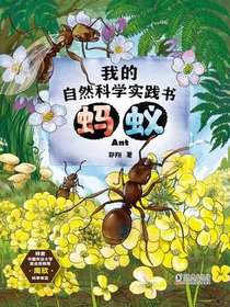 我的自然科学实践书蚂蚁