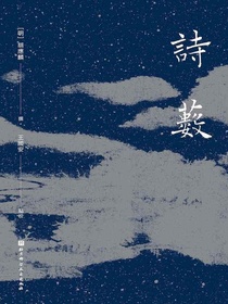 诗薮