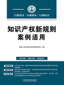 知识产权新规则案例适用