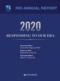 2020，我们交给时代的答卷：蓝迪国际智库2020年度报告（英文版）