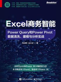 Excel商务智能：PowerQuery和PowerPivot数据清洗、建模与分析实战