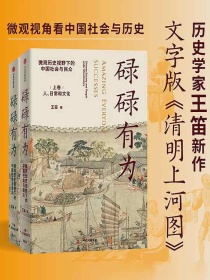碌碌有为：微观历史视野下的中国社会与民众（全二册）