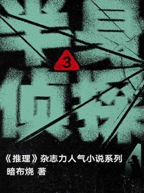 半身侦探3