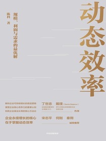 动态效率：规模、利润与需求的最优解