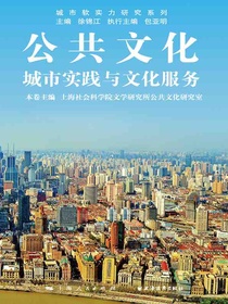 公共文化：城市实践与文化服务