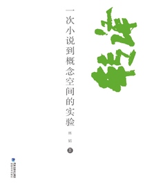 转译：一次小说到概念空间的实验