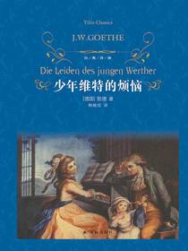 少年维特的烦恼（经典译林）