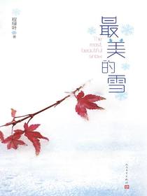 最美的雪
