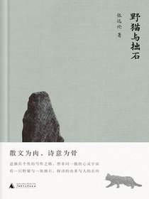 野猫与拙石