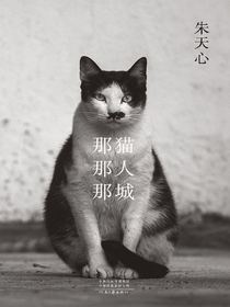 那猫那人那城