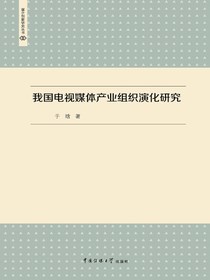 我国电视媒体产业组织演化研究