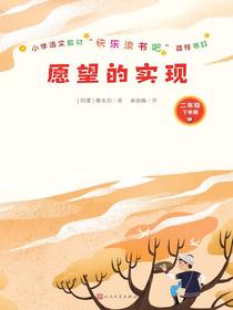 愿望的实现（二年级下学期）