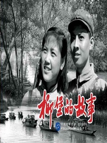 柳堡的故事（电影连环画）