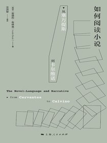 如何阅读小说：从塞万提斯到卡尔维诺