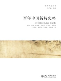 百年中国新诗史略：中国新诗总系导言集