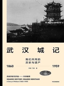 武汉城记