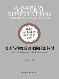 美国与印度尼西亚的政治转型