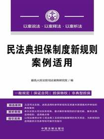 民法典担保制度新规则案例适用